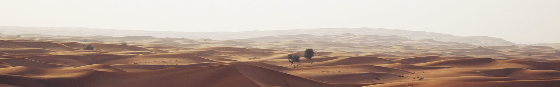 ݸ-ԶƼ޹˾